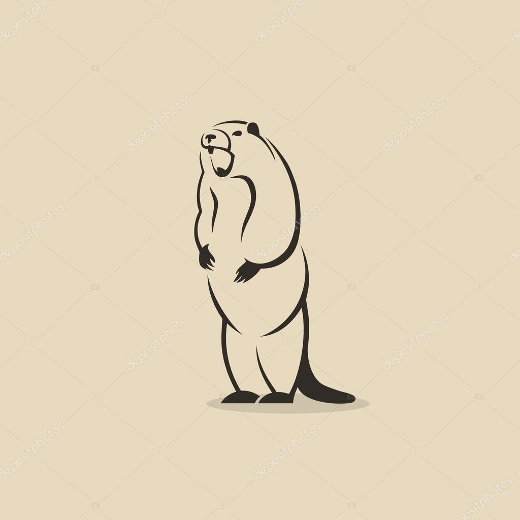 Marmot animal- vector illustration