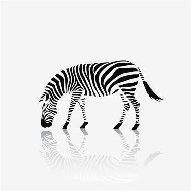 Beyaz Zebra sembolü