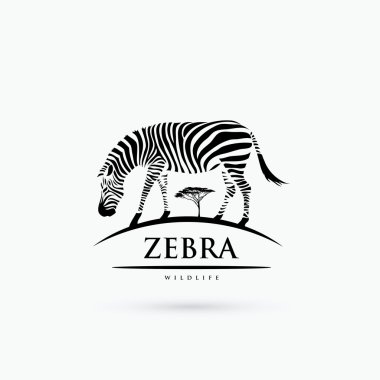 Beyaz Zebra sembolü