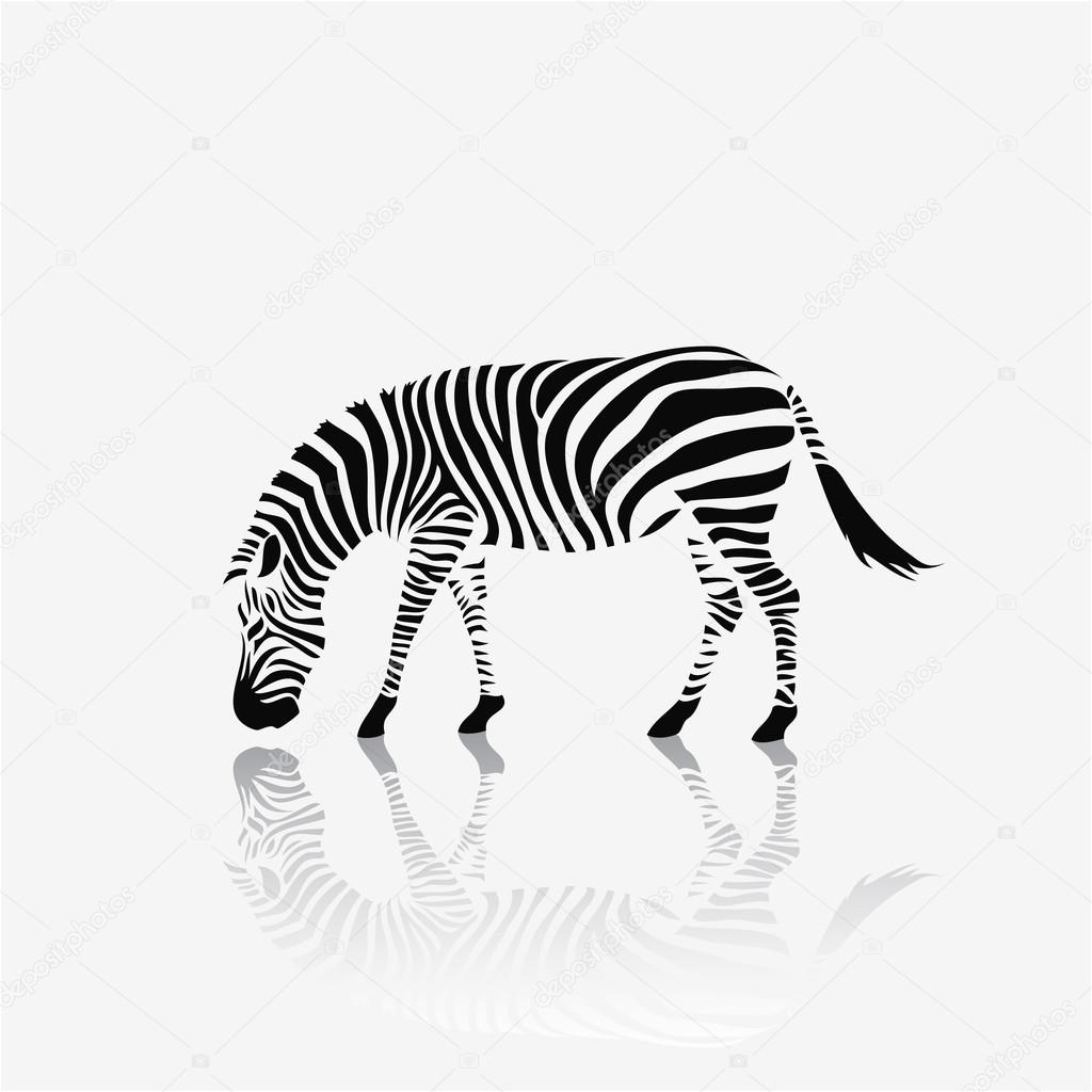Zebra symbol on white