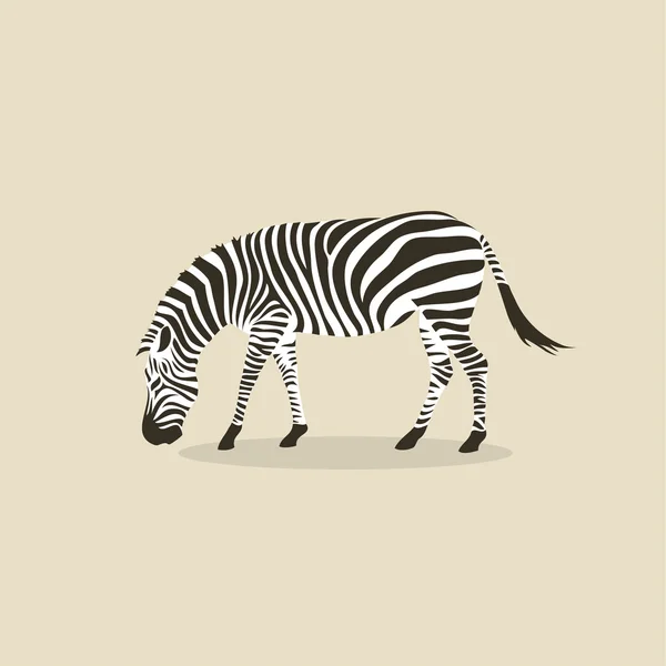 Zebra on beige background — Stock Vector