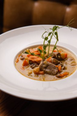 Beyaz tabakta sebze ve baharatlı sığır eti çorbasının yakın plan görüntüsü
