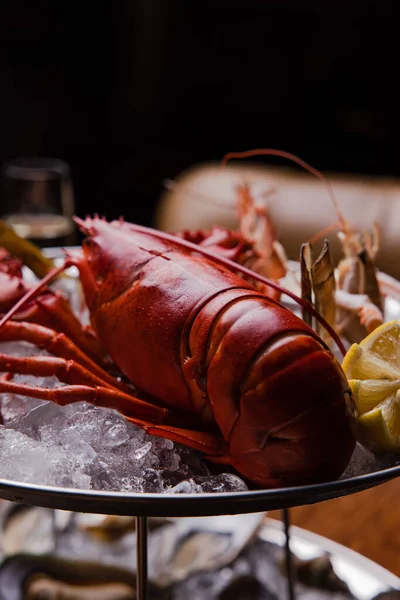Pandangan Closeup Lobster Lezat — Stok Foto