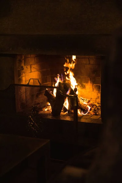火と森のある石の暖炉の眺め — ストック写真