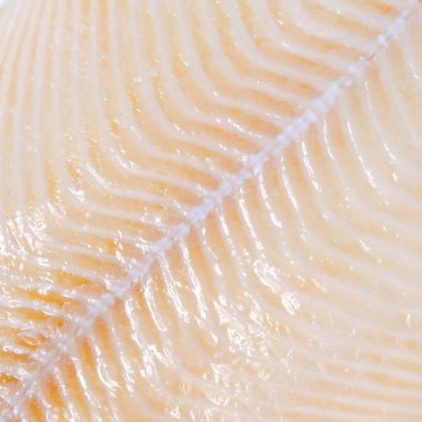 Beyaz arkaplanda izole edilmiş beyaz balık filetosu üst görünümü 