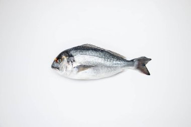 Beyaz arka planda izole edilmiş çiğ deniz balığı. 
