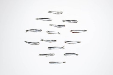 Beyaz arka planda izole edilmiş çiğ lahanalar