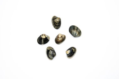 Beyaz arkaplanda izole edilmiş kapalı istiridyelerin üst görünümü 