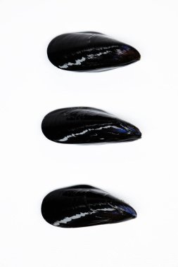 Beyaz arkaplanda izole edilmiş kapalı midyelerin üst görünümü 