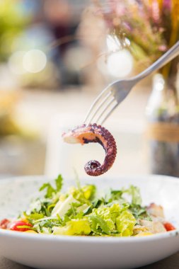 Çataldaki ahtapot dokunaçlarının yakın çekim görüntüsü, deniz mahsullü bir tabak salata.