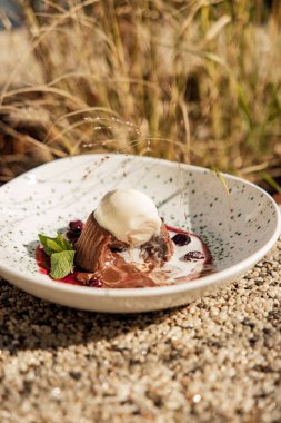Vanilyalı dondurma ve nane yapraklı çikolatalı şekerleme. 