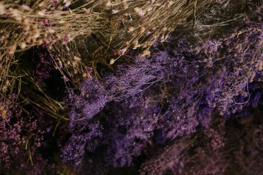 Bahçedeki lavanta çiçeklerinin yakın çekim görüntüsü