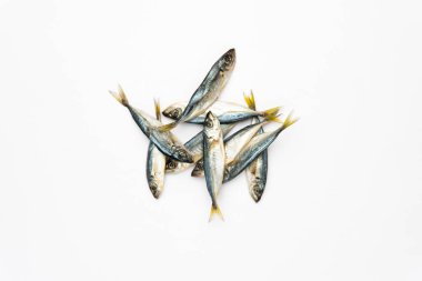 Beyaz arka planda izole edilmiş çiğ lahanalar