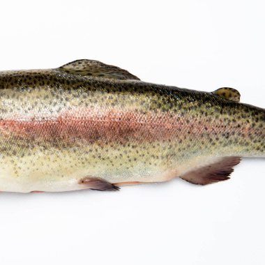 Beyaz arkaplanda izole edilmiş çiğ alabalığın parçası