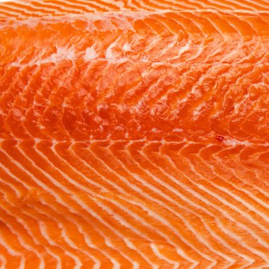 Beyaz arkaplanda izole edilmiş kırmızı balık filetosunun üst görünümü 