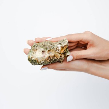 Beyaz arka planda izole edilmiş büyük kapalı bir istiridyeyi tutan el. 