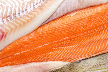 Beyaz arkaplanda izole edilmiş farklı kırmızı ve beyaz balık filetolarının üst görünümü 