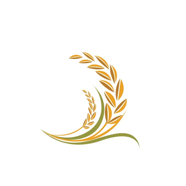 Pirinç vektör — Stok Vektör