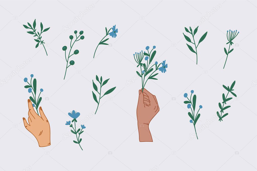 Large set of spring flowers with hands. A collection of plants in the hands of a woman. Natural motifs flower collections. Hand-drawn plants. Illustrations for creating a spring design.