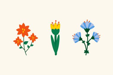 Bahçe işleri için güzel bir çiçek seti. Beyaz arka planda renkli çiçekler. Bahçe için bitki parçaları. Vektör illüstrasyonu