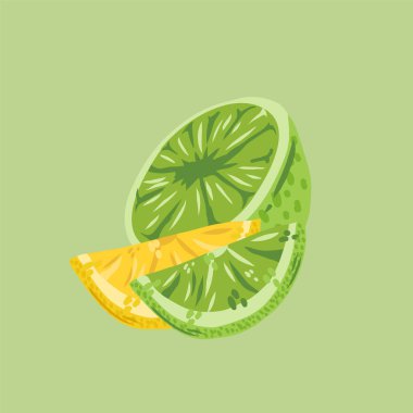 Limon ve limon sitruslarının çizimleri. Yaz tasarımı için vektör sulu meyve koleksiyonu.