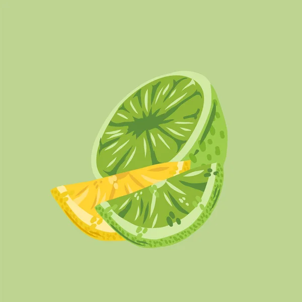 Illustrations of citruses of lime and lemon. Vector juicy Fruit collection for summer design. - Stok Vektor