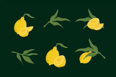 Yapraklı narenciye. Limon, limon, dilimler ve yarım porsiyon meyve. Yaz menüsü tasarımı için şirin narenciye meyveleri.