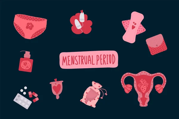 Menstruációs vektorok. A női menstruációs ciklus illusztrációja. Higiéniai termékekkel, tamponokkal, betétekkel, menstruációs csészével. — Stock Vector