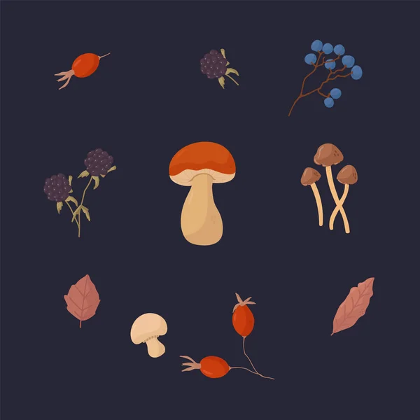 Conjunto com cogumelos selvagens, bagas e plantas. Seleção de outono de ingredientes naturais em um fundo escuro. Cogumelos comestíveis naturais orgânicos e bagas de desenho. — Vetor de Stock