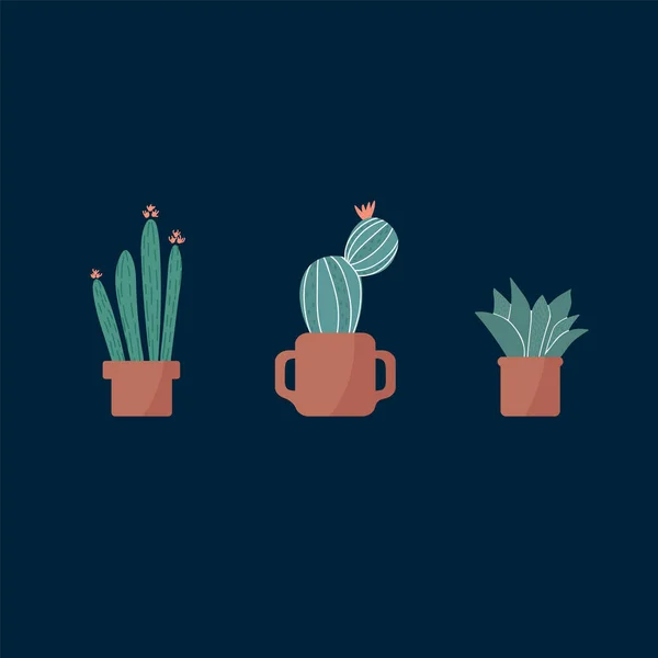 Egy illusztráció a növények kaktuszok és zamatos. Botanika kaktuszokkal firka stílusban. Gyönyörű divatos növények divat design. — Stock Vector