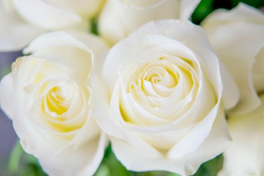 bir tatil ya da düğün buketi 