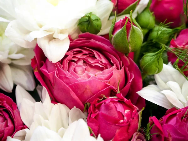 Yazın bir tarlada olgunlaşan buğday kulakları 