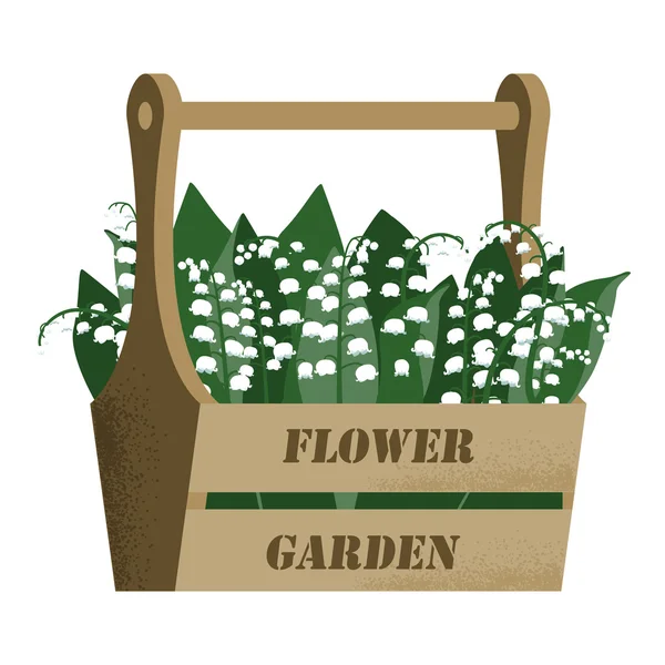 Bahçe kutusu ve lily vadi ile vektör illustrtion — Stok Vektör