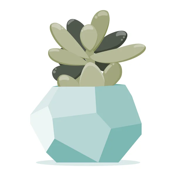 Ilustración vectorial con planta suculenta en maceta geométrica poligonal — Vector de stock