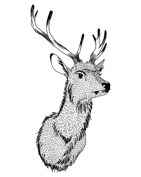 Wektor ilustracja Christmas jeleni na białym tle wyciągnąć rękę — Wektor stockowy