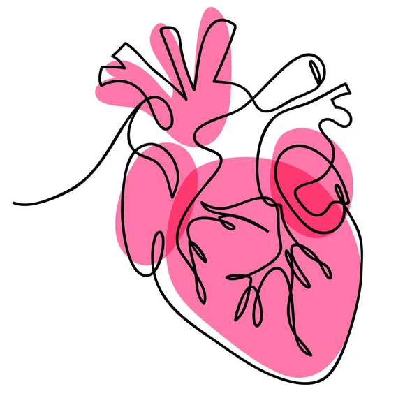 Непрерывная линия рисования сердца на белом фоне. Векторная иллюстрация — стоковый вектор