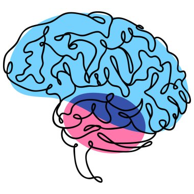 Continuous line drawing of a human brain with gyri and sulci, multipurpose single line concept or icon clipart