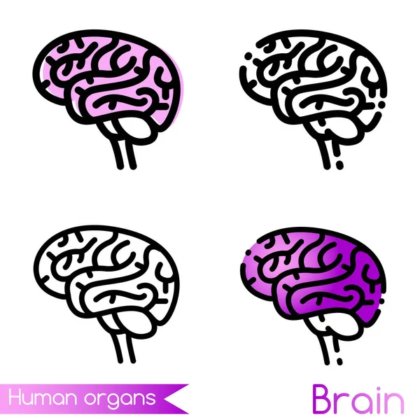 Значок вектора мозга человека в четырех различных толщинах контуров — стоковый вектор
