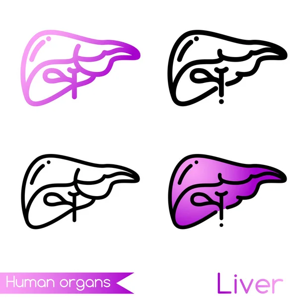 Icono de vector de hígado humano o logotipo en cuatro espesores de línea de contorno diferentes — Vector de stock