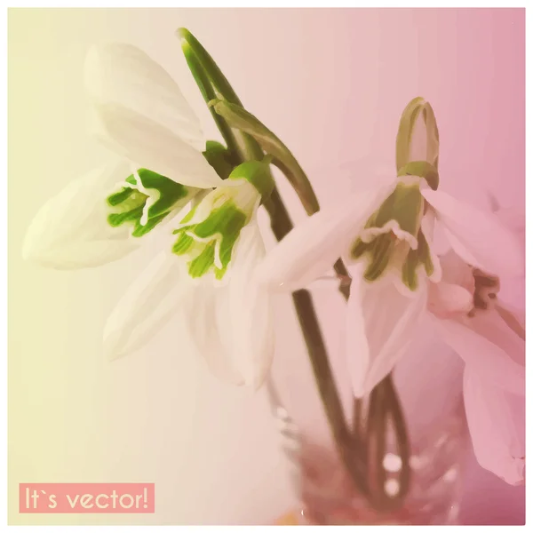 Vector illustration of spring flower — Stock Vector