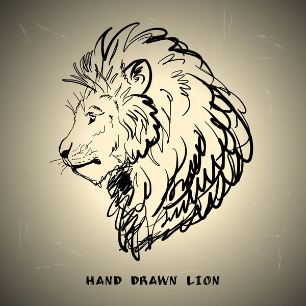 Gambar sketsa singa pada latar belakang putih - Stok Vektor