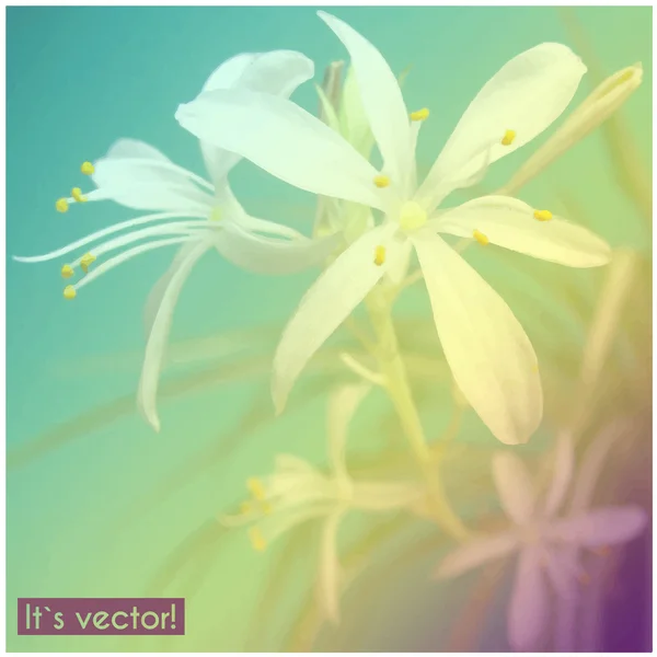 Vector illustration of spring flower — Stock Vector