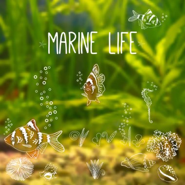 Vector illustration. Blurred photographic background with underwater world clipart