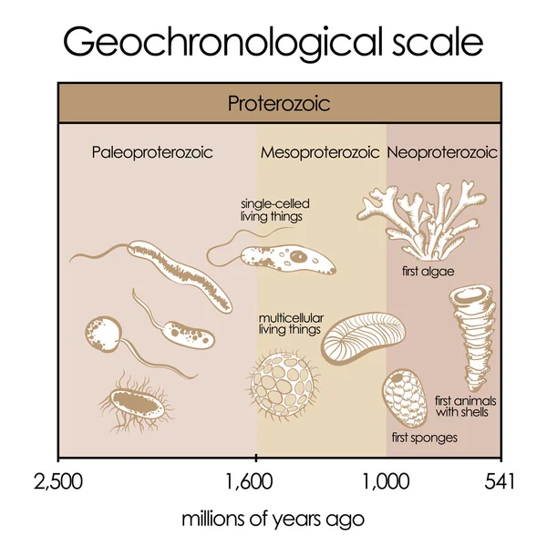 Geokronologiska skalan. Del 2-proterozoic EON. — Stock vektor