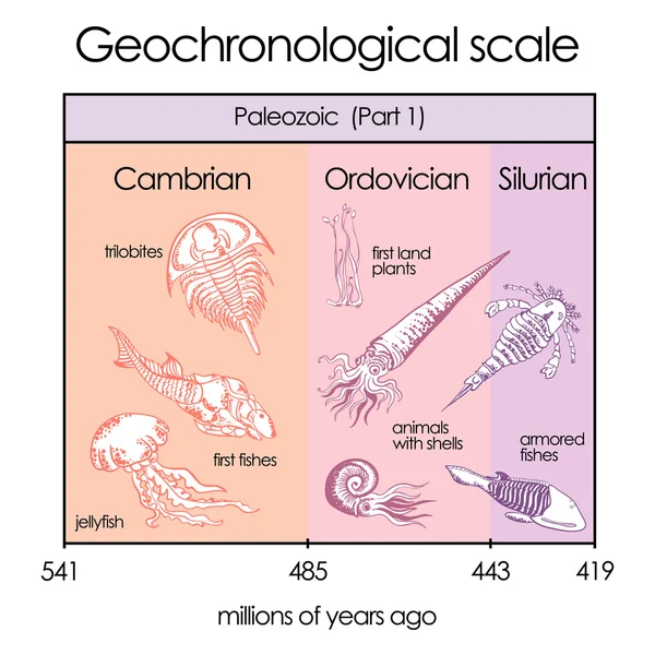 Geochronological skali. Część 3 - Eon paleozoiku. — Wektor stockowy