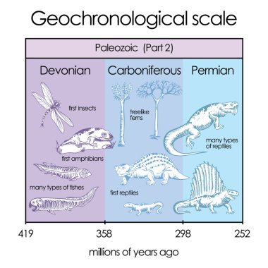 Geochronological scale. Part 3 - Paleozoic Eon.  clipart