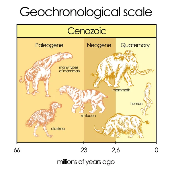 Geochronological ölçek. Bölüm 5 - Cenozoic Eon. — Stok Vektör