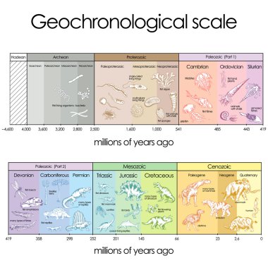 Geochronological scale.  clipart