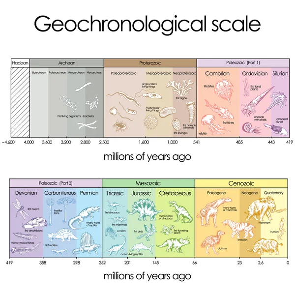 Escala geocronológica . — Vetor de Stock