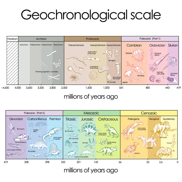 Geochronological stupnice. Royalty Free Stock Ilustrace
